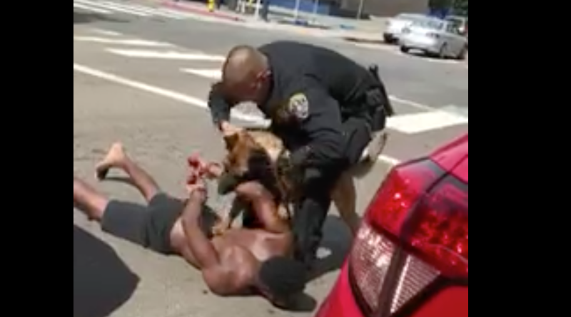 Police Dog Continues Attacking Black Man That Was Already Subdued And Handcuffed